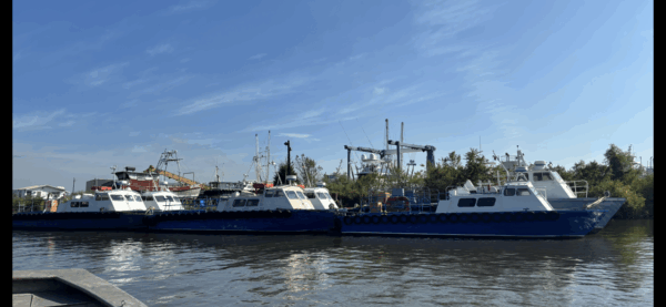 C-528/529    6 TWIN SCREW