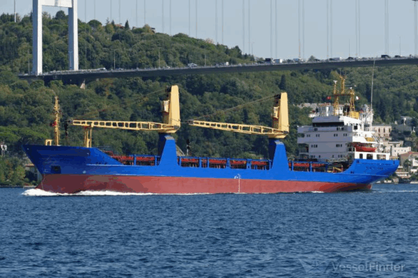 6574 DWT-CRANES